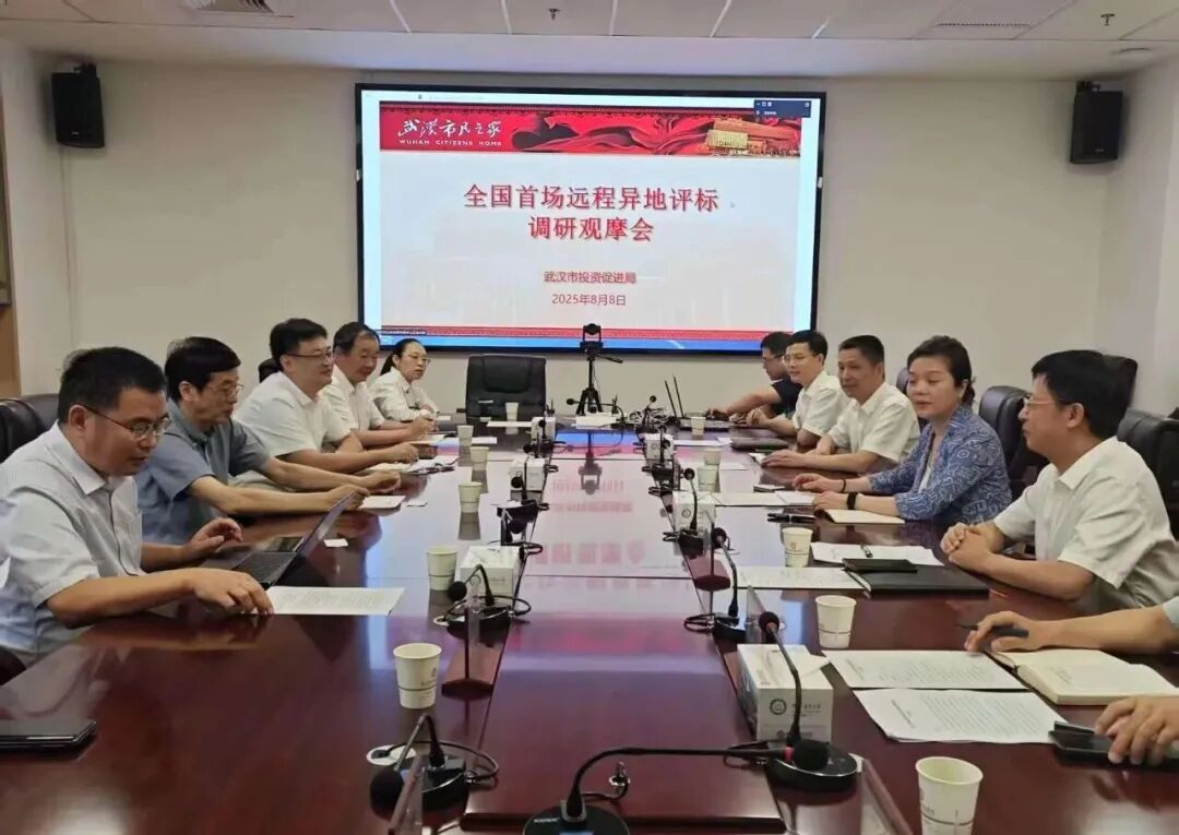 遠程異地評標，湖北首例執(zhí)行、首個“點亮”